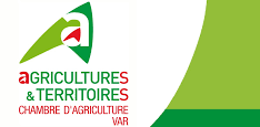 logo5
